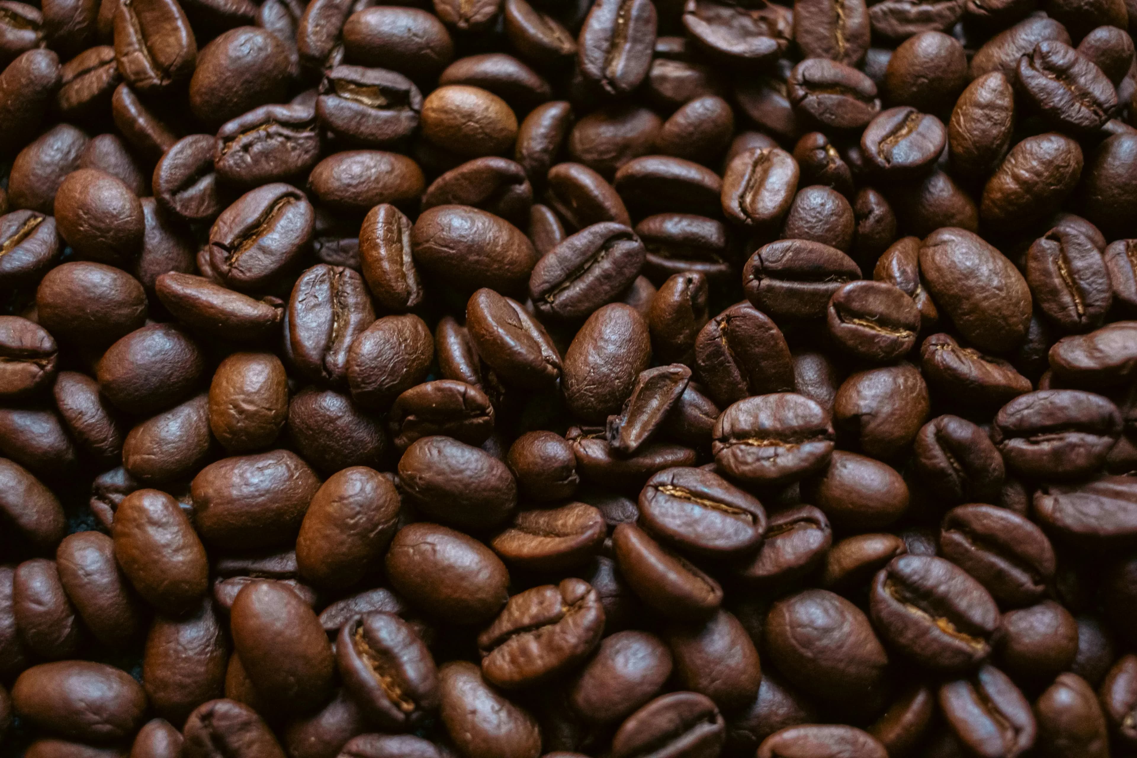 Premium Swiss Water Process decaf coffee beans by CoffeeTotaler